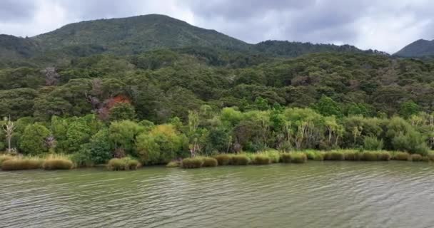 Fly Lake Wairarapa Ακολουθώντας Ακτογραμμή Μακρινή Περιοχή Tararua Νέα Ζηλανδία — Αρχείο Βίντεο