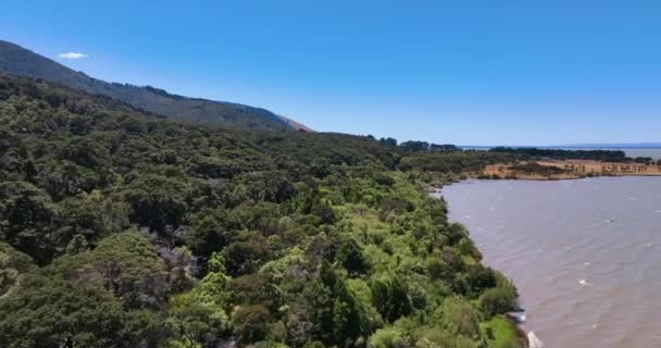 Flight Tree Tops Lake Wairarapa Waters Edge New Zealand — Stock Video