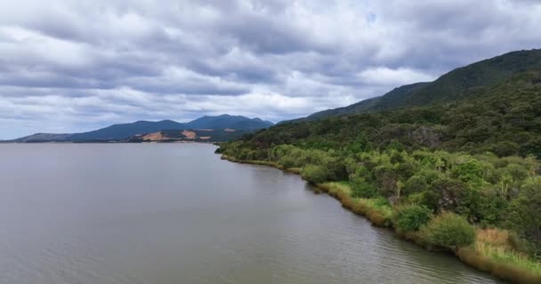 Flight Paralele Shore Lake Wairarapa Tararua Range New Zealand — ストック動画