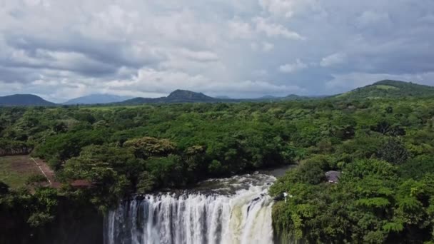 Inclinazione Colpo Con Una Bella Cascata Nella Giungla Messicana Circondato — Video Stock