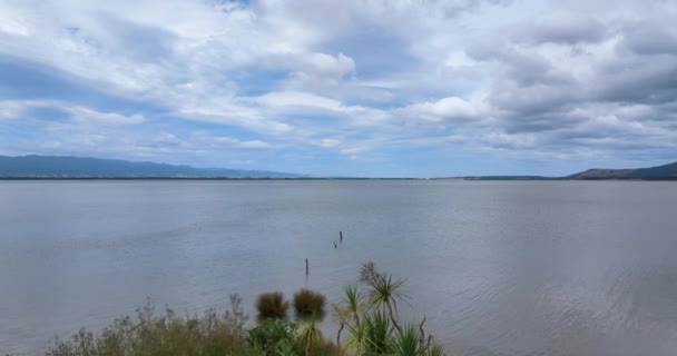 Vuelo Desde Reserva Escénica Del Lago Wairarapa Sobre Lago Nueva — Vídeos de Stock