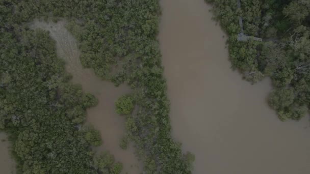 Vista Volo Uccello Tallebudgera Creek Con Vegetazione Lussureggiante Nel Queensland — Video Stock