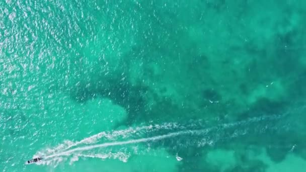 바다에서 아이아나파 프로타 멕시코 이슬라 카리브해의 — 비디오