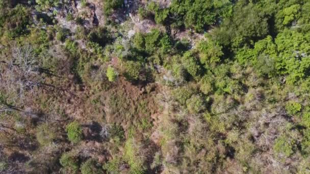 Vista Aérea Aves Cartagena Una Las Ciudades Más Populares Turísticas — Vídeos de Stock