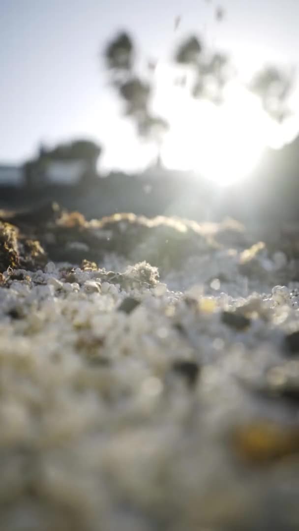 Dripping White Unique Sand Debris Popcorn Fuerteventura Verticals — ストック動画