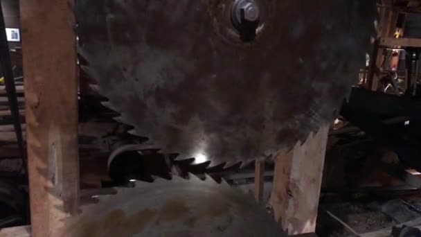 Upper Lower Circular Saws Sawmill Turning Slowly Directions — Stock video