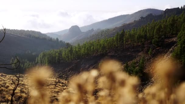 Fascinerande Landskapsklippor Teide Nationalpark Spanien — Stockvideo