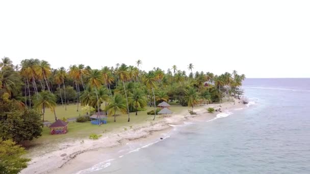 Drone Shot Pigeon Point Beach Tobago Showing Famous Thatch Roofed — Video Stock