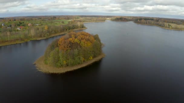 Isla Lago Meirans Lago Meiranu Letonia Isla Deshabitada Cerca Del — Vídeos de Stock