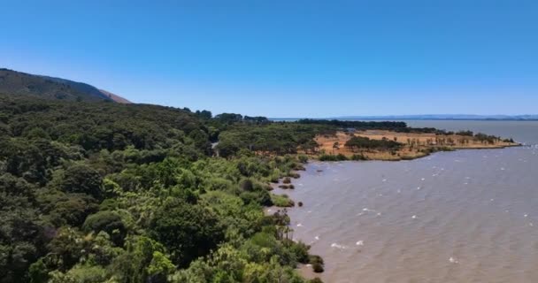 Flyg Över Soldränkt Strandlinje Vid Sjön Wairarapa Skog Nya Zeeland — Stockvideo