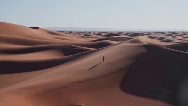 Nomade Solitario Che Cammina Dune Sabbiose Del Deserto Infinito Del — Video Stock