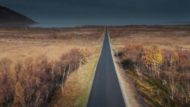 Narrow Stripe Black Asphalt Road Runs Autumn Tundra Seashore Dark — стоковое видео