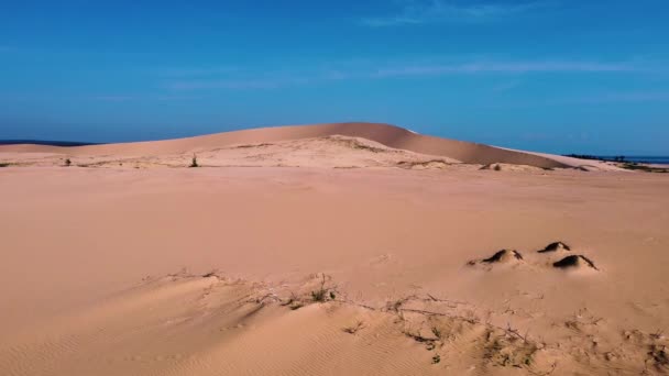 Coastal Desert Landscape Vietnam Aerial Drone View Sandy Dunes — Vídeo de Stock