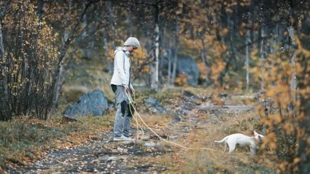 一位欧洲中年妇女带着一只小白狗在秋天的森林小径上散步 树叶被风吹碎了 — 图库视频影像