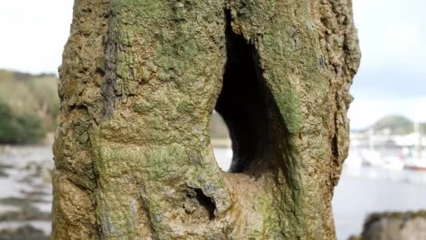 Weathered Eroded Ship Mooring Stone Close View Hole Sunny Bay — Stock videók