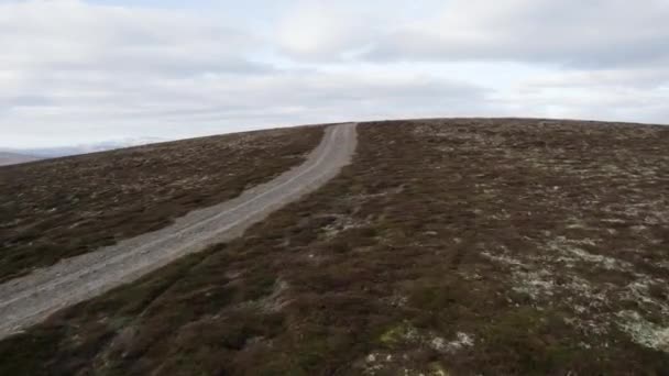 Cinematic Aerial Drone Footage Flying Fast Low Wild Heather Grouse — стоковое видео