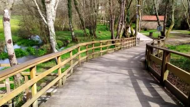 Pov Walking Empty Elevated Wooden Promenade Local Park Ordes Coruna — Stockvideo