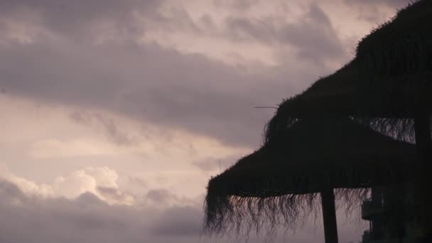 Hintergrund Des Wolkenverhangenen Rosa Himmels Strand Mit Der Silhouette Einer — Stockvideo