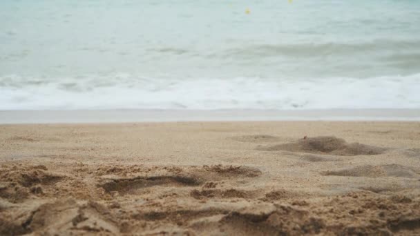 海浪冲向海滩时 沙滩的低角度视图 — 图库视频影像