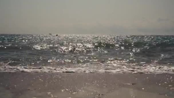 Ondas Que Desembarcan Una Playa Tropical Con Cielos Azules Contraluz — Vídeos de Stock