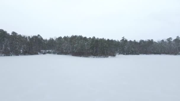 Drone Πλησιάζει Δέντρα Hoarfrost Κατεψυγμένα Λίμνη Κατά Διάρκεια Της Χειμερινής — Αρχείο Βίντεο