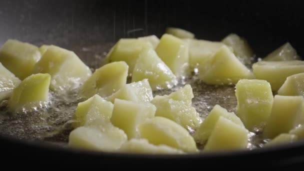 Bramborové Kostky Smažené Pánvi Přidání Soli Papriky Vegetariánské Jídlo — Stock video