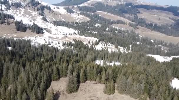 Picturesque Forest Hill Swiss Alps Some Snow Nice Blue Sky — Vídeos de Stock