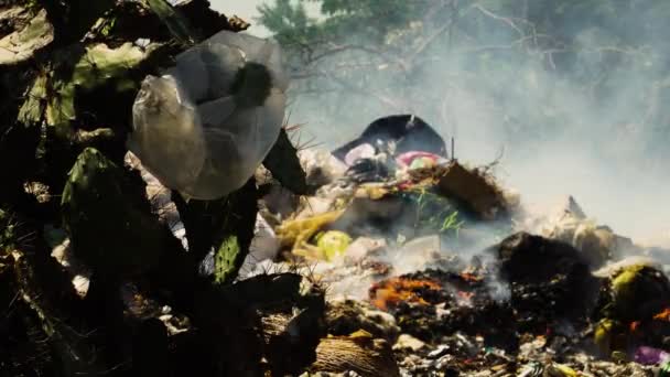 Szczelnie Ujęcie Środowiska Zanieczyszczenie Ziemi Pokazujące Spalanie Plastiku Śmieci Słońcu — Wideo stockowe