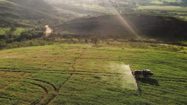巴西的拖拉机喷洒大豆种植园 — 图库视频影像