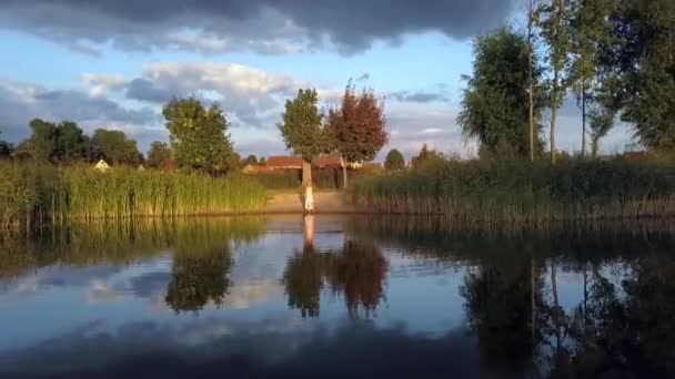 Brandenburg Almanya Sındaki Küçük Bir Köyde Yaz Günbatımında Pembe Elbiseli — Stok video