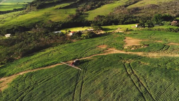 Tractor Sproeien Sojabonen Plantage Brazilië — Stockvideo