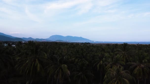 Jungle Tropicale Aérienne Paysage Forêt Tropicale Cam Ranh Littoral Vietnam — Video