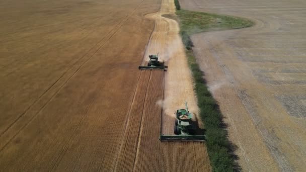 Dwa Duże Kombajny Zbierają Pszenicę Wzdłuż Krawędzi Dużych Zbiorów Farmie — Wideo stockowe