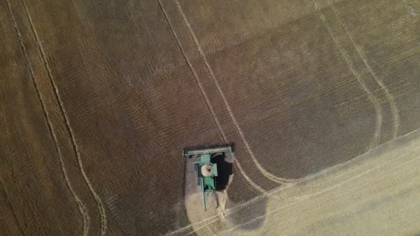Combine Harvester Working Crop Wheat Rural Farm Wide Angle Aerial — Stock Video