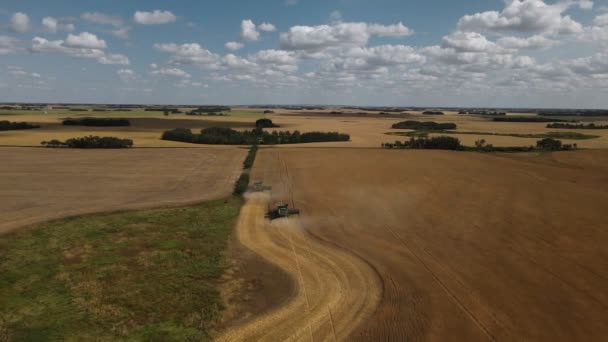 Combine Harvesters Working Edge Large Golden Wheat Field Rural Farm — Stockvideo