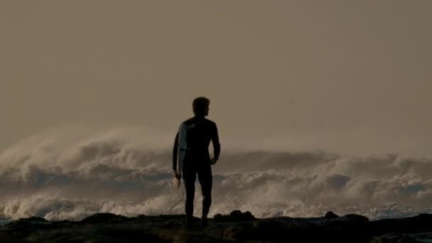 Silhuett Surfare Och Vågor Skymningen — Stockvideo