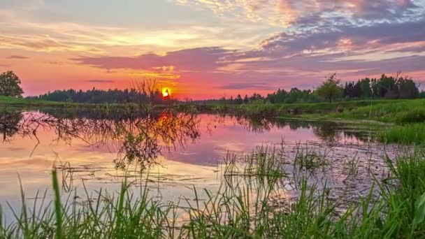 Hyperlapse Shot Tranquil Lake Water Plants Colorful Sunset Horizon — стоковое видео