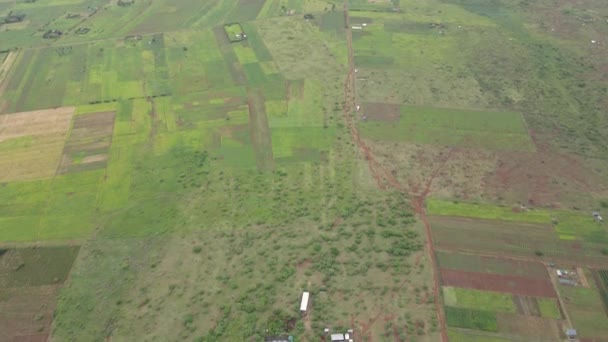 Countryside Farmlands Southern Kenya Contemporary Agriculture Africa Aerial Tilt — ストック動画