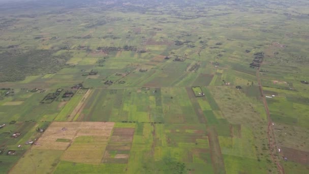Serene Landscape Green Farmlands Southern Kenya Aerial View — Video Stock