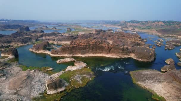Vadodara Gujarat India Aerial View Forest Lake Aerial Drone Shot — Vídeo de stock