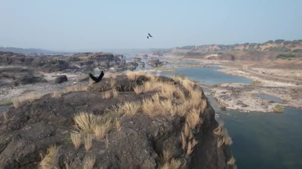 Hoge Hoek Panoramisch Uitzicht Prachtige Rivier Narmada Een Mistige Winterdag — Stockvideo