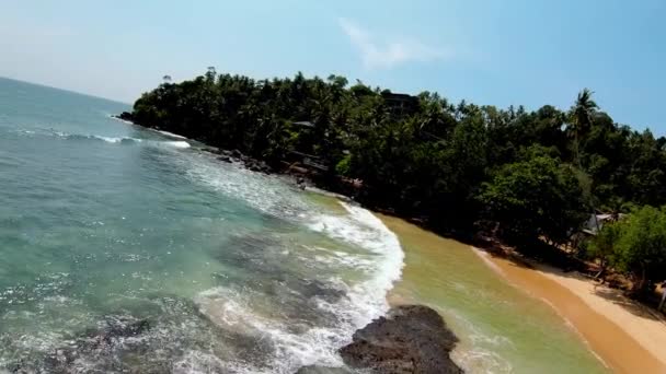 Aerial Drone Popular Sandy Beach Tourists Beachfront Hotels Palm Tree — Stok video