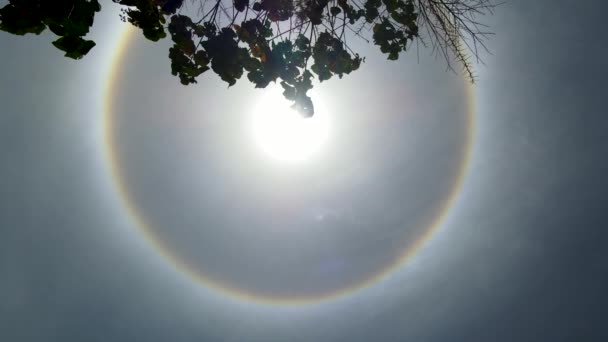 Σπάνιες Rainbow Circular Halo Sun Οπτικό Φαινόμενο Στο Blue Day — Αρχείο Βίντεο