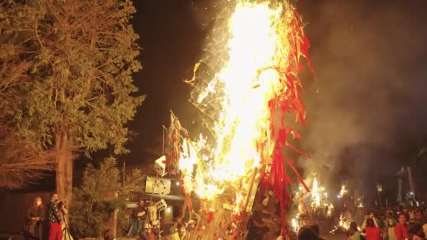 Huge Bonfire Sagicho Matsuri Festival Omihachiman Japan — 비디오