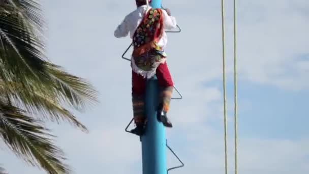 Hombre Hispano Escalando Poste Con Traje Tradicional Voladores Papantla Performance — Vídeo de stock