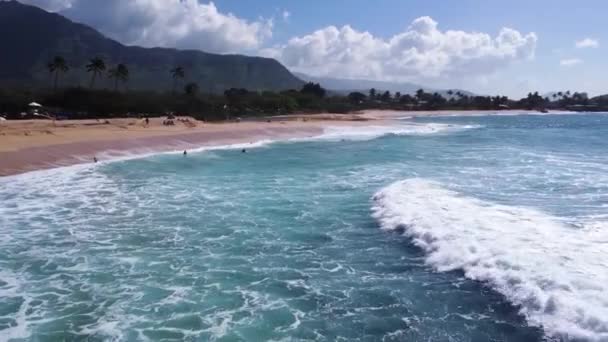 Surfers Paradise Blue Ocean Beautiful Beach Oahu Hawaii Drone Water — Stock video
