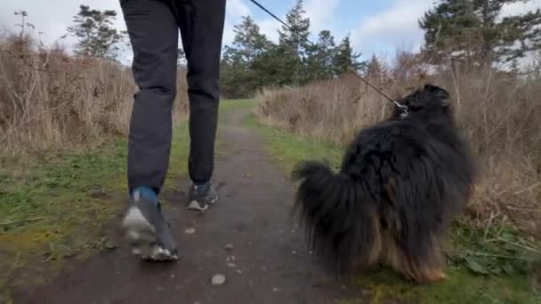Adventurer Και Σκυλί Πόδια Μονοπάτι Πεζοπορίας — Αρχείο Βίντεο