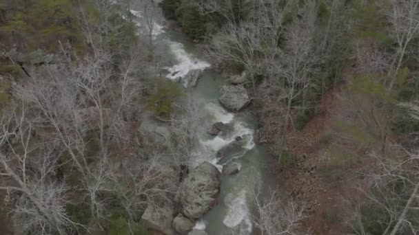 Slow Aerial Shot Creek Springtime Trees — стоковое видео