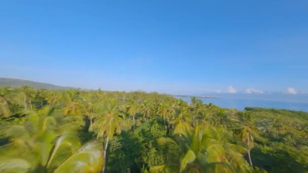 Drone Flying Low Tropical Forest Deserted Beach Island Coast Playa — Vídeo de Stock