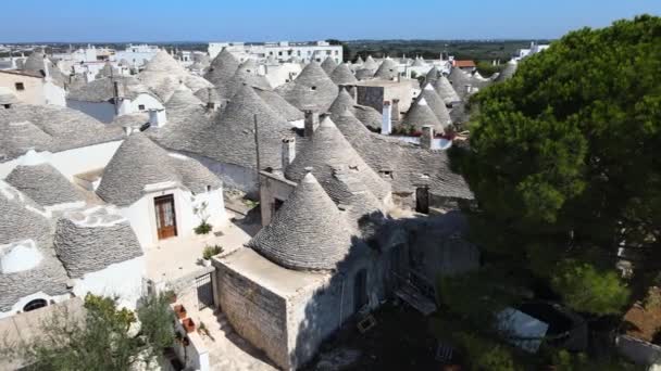 Aerial Drone Shot Left Right Lots Trullis Giant Green Tree — Video Stock